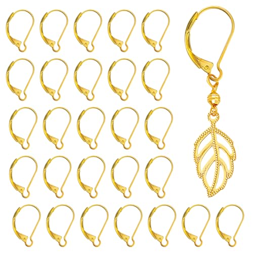 Französische Ohrringhaken aus Edelstahl, hypoallergen, austauschbar, für Schmuckherstellung, baumelnde Ohrringe, goldfarben, 100 Stück von Auswalar