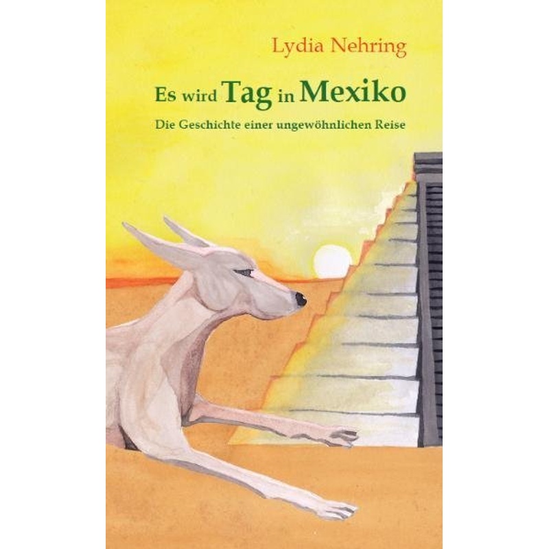 Es Wird Tag In Mexiko - Lydia Nehring, Kartoniert (TB) von Autumnus
