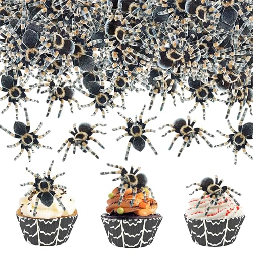 80 Stück Halloween Spinnen Kuchendeko,Spinnen Cupcake Topper,40 Essbare Spinnen Deko+40 Spinnen Cupcake Topper,für Halloween Party Kuchen Deko 80 Stück Halloween Spinnen Kuchendeko,Spinnen Cupcake Topper,40 Essbare Spinnen Deko+40 Spinnen Cupcake Topper,für Halloween Party Kuchen Deko von Auzlya