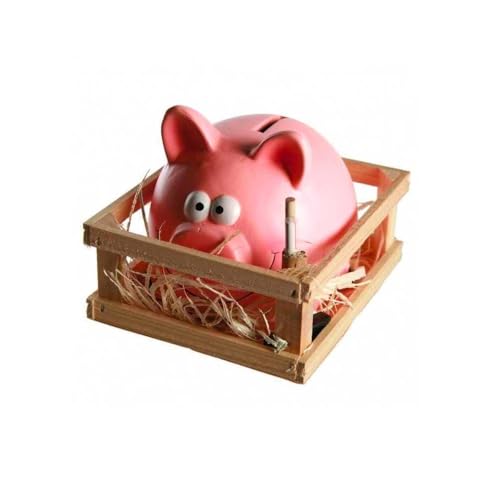 Spardose in Form eines Schweins mit Zaun und Hammer zum Öffnen – Spardose für Groß und Klein mit Design Schwein und Zaun, aus Keramik, 14 x 12 cm von Avilia