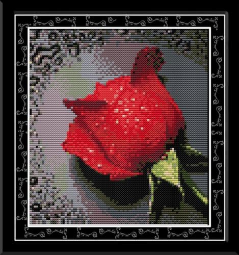 Awesocrafts Kreuzstich-Set, Motiv: rote Rose, Blume, einfache Muster, Kreuzstich, Stickerei, Handarbeitsset, Zubehör Awesocrafts Kreuzstich-Set, Motiv: rote Rose, Blume, einfache Muster, Kreuzstich, Stickerei, Handarbeitsset, Zubehör von Awesocrafts