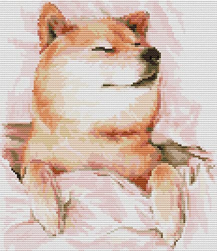 Awesocrafts Kreuzstich-Set, Shiba Inu in einem Nickerchen Hund, einfache Muster, Kreuzstich, Stickerei, Handarbeitsset, Zubehör (Shiba Inu) von Awesocrafts