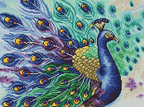 Awesocrafts Kreuzstich Stickpackungen Vorgedruckt Blauer Pfau Bilder Vorlagen Sticken Set Vorgedruckt 11CT 3 Stränge von Awesocrafts