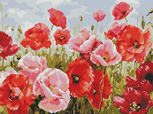 Awesocrafts Kreuzstich Stickpackungen Vorgedruckt Blumen Bilder Vorlagen Sticken Set Vorgedruckt 11CT 3 Stränge von Awesocrafts
