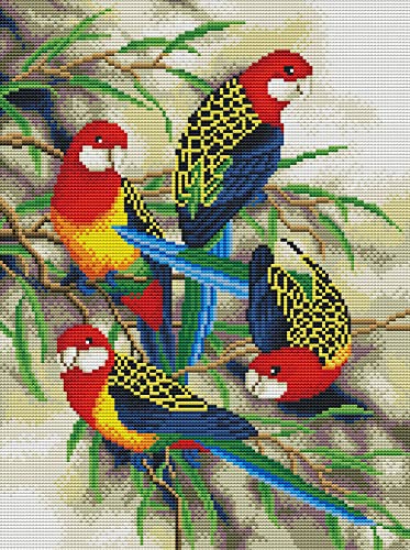 Awesocrafts Kreuzstich Stickpackungen Vorgedruckt Papageien Vogel Bilder Vorlagen Sticken Set Vorgedruckt 11CT 3 Stränge von Awesocrafts