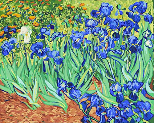 Awesocrafts Malen nach Zahlen Iris auf dem Boden von Van Gogh 40x50cm DIY Ölgemälde für Erwachsene Kinder (ohne Rahmen) von Awesocrafts