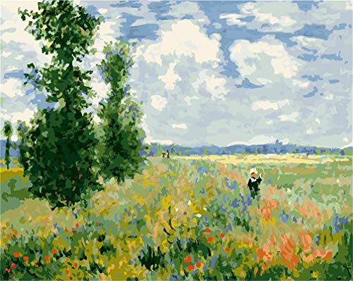 Awesocrafts Malen nach Zahlen-Set, Mohnblumenfeld nach Monet, Zahlengemälde für Erwachsene und Kinder, 40 x 50 cm, (Mohnblumen, kein Rahmen) von Awesocrafts