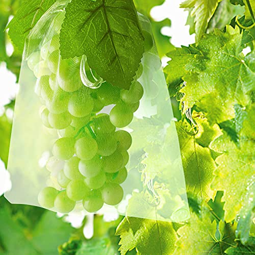 100 Stück Traubenschutzbeutel Grün Organzabeutel 30x20cm mit Zugband Obst Schutzbeutel Trauben-Schutzbeutel Schutz vor Wespenfrass Hornissen Kirschessigfliege und andere Insekten von Awinker