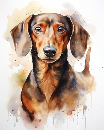 AxiangziK DIY Vorgedruckt Stickbilder Stickset 11CT,Dackel Tier Hund,Kreuzstich Stickpackung,Handwerk Home Decor Starter-Set für Wandkunst,40x50cm AxiangziK DIY Vorgedruckt Stickbilder Stickset 11CT,Dackel Tier Hund,Kreuzstich Stickpackung,Handwerk Home Decor Starter-Set für Wandkunst,40x50cm von AxiangziK