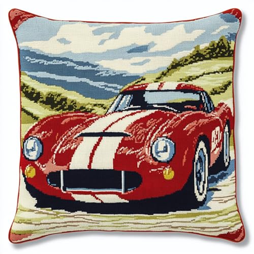 AxiangziK DIY knüpfen set erwachsene,Cartoon-Sportwagen,Haken-Knüpfset Kissenbezug bedrucktes Kissen Häkelgarn,Stickerei,Dekoration,Anfänger-Knüpfs,17x17in von AxiangziK