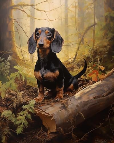 AxiangziK Stickset für Anfänger,Dackel Tier Hund im Wald,Kreuzstich Stickpackung mit Stickmustern,Stickerei-Starter-Set,Kreuzstich-Set für Erwachsene,40x50cm AxiangziK Stickset für Anfänger,Dackel Tier Hund im Wald,Kreuzstich Stickpackung mit Stickmustern,Stickerei-Starter-Set,Kreuzstich-Set für Erwachsene,40x50cm von AxiangziK