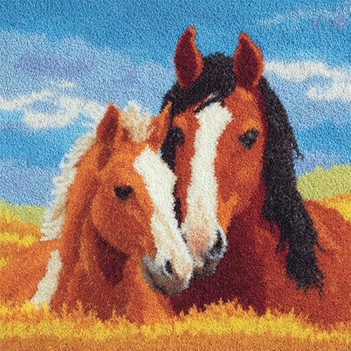 AxiangziK Tier Latch Hook Kits Cushion Cover,Mama und sein Sohn,Latch Hook Embroidery for Adults and Beginners Pillow Case Sofa Cushion Cover Craft Kits,17x17in von AxiangziK