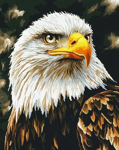AxiangziK Vorgedrucktes Kreuzstich-Set für Erwachsene und Anfänger 11CT,tierischer Weißkopfseeadler,DIY Stickbilder für Wandkunst-Heimdekoration,40x50cm AxiangziK Vorgedrucktes Kreuzstich-Set für Erwachsene und Anfänger 11CT,tierischer Weißkopfseeadler,DIY Stickbilder für Wandkunst-Heimdekoration,40x50cm von AxiangziK