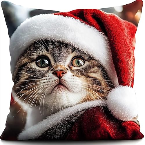 AxiangziK Weihnachtsthema Stickset,Kissenbezug,Kreuzstich Kissen,Katze mit Weihnachtsmütze, Stickkissen mit Muster Stickset Kreuzstich Kissen zum Basteln Stickkissen Stickpackung,45x45cm AxiangziK Weihnachtsthema Stickset,Kissenbezug,Kreuzstich Kissen,Katze mit Weihnachtsmütze, Stickkissen mit Muster Stickset Kreuzstich Kissen zum Basteln Stickkissen Stickpackung,45x45cm von AxiangziK