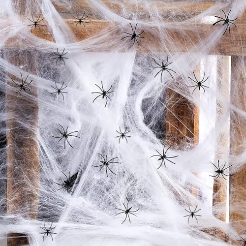 Ayizhiniu Halloween Spinnennetz Deko, Weiß Outdoor Spinnweben Dekoration, 200 Spinnweben mit 40 Schwarzen Kleinen Spinne, Anwendbar Spukhaus Horror Deko Halloween Party Zubehör Ayizhiniu Halloween Spinnennetz Deko, Weiß Outdoor Spinnweben Dekoration, 200 Spinnweben mit 40 Schwarzen Kleinen Spinne, Anwendbar Spukhaus Horror Deko Halloween Party Zubehör von Ayizhiniu