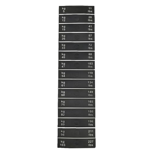 Aymzbd Aufkleber mit Gewichtsstapel Etiketten, 15 Pfund, 7 Kg, Zuwachs, Zubehör, Gewichtsblock Aufkleber für Fitnessstudio Widerstandstrainer, Sportartikel, Länge 9 Cm von Aymzbd