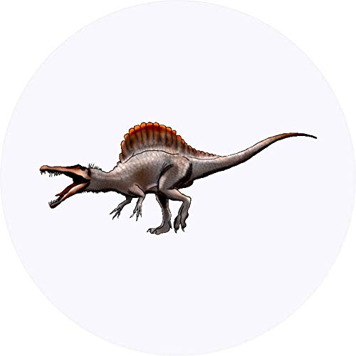 24 x 40mm 'Brullende Spinosaurus' Aufklebern/Stickers (SK00039698) von Azeeda