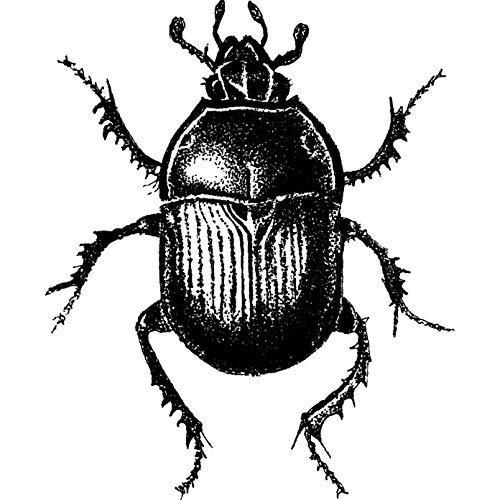 A7 'Käfer' Stempel (Unmontiert) (RS00033990) von Azeeda