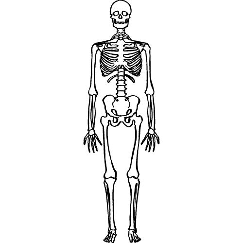 A7 'Skelett' Stempel (Unmontiert) (RS00030764) von Azeeda