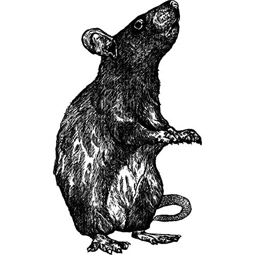 A7 'Stehende Ratte' Stempel (Unmontiert) (RS00000006) von Azeeda