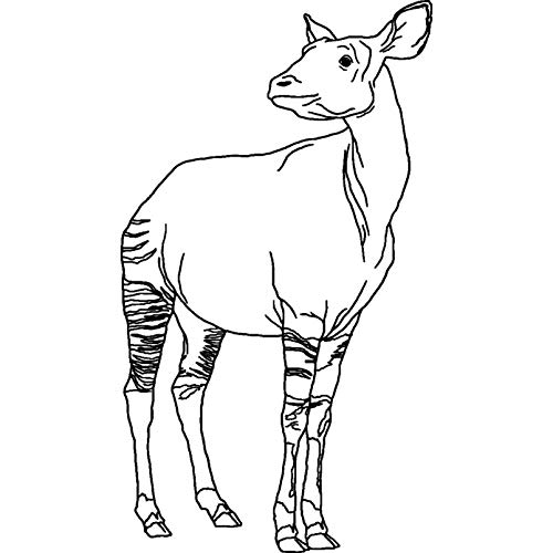 A8 'Okapi' Stempel (Unmontiert) (RS00035835) von Azeeda