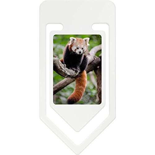 Azeeda 141mm 'Roter Panda' Riesige Plastik Büroklammer (CC00015550) von Azeeda