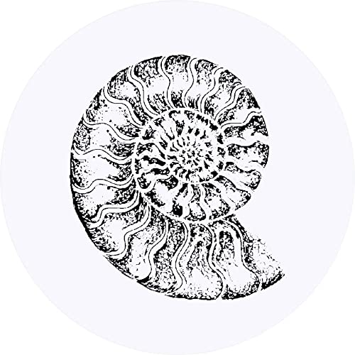 24 x 40mm 'Ammonit' Aufklebern/Stickers (SK00056130) von Azeeda