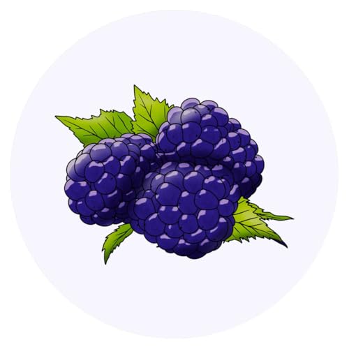 Azeeda 24 x 'Brombeeren' Aufkleber - für Basteln, Scrapbooking und Etikettierung (SK00047634) von Azeeda