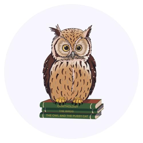 Azeeda 24 x 'Eine süße Eule auf einem Stapel Bücher' Aufkleber - für Basteln, Scrapbooking und Etikettierung (SK00060751) von Azeeda