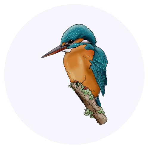 Azeeda 24 x 'Eisvogel' Aufkleber - für Basteln, Scrapbooking und Etikettierung (SK00040114) von Azeeda