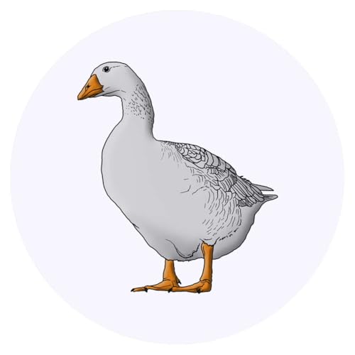 Azeeda 24 x 'Gans' Aufkleber - für Basteln, Scrapbooking und Etikettierung (SK00041592) von Azeeda