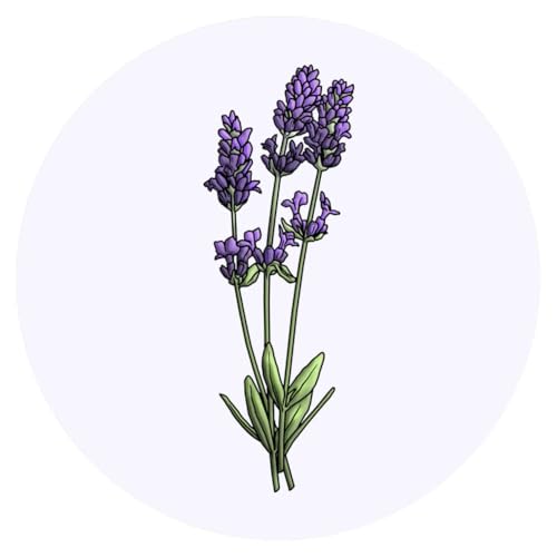 Azeeda 24 x 'Lavendel' Aufkleber - für Basteln, Scrapbooking und Etikettierung (SK00044016) von Azeeda
