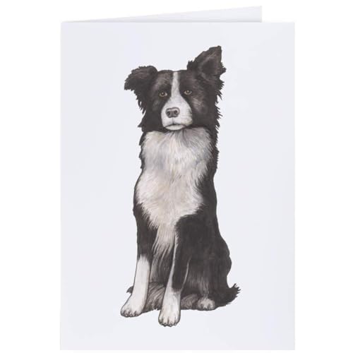 Azeeda 4 x 'Border Collie' Geschenkanhänger (GI00028138) von Azeeda