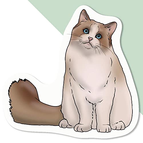 Azeeda 4 x Klein 50mm 'Ragdoll-Katze' Permanente Aufkleber (DW00068105) von Azeeda