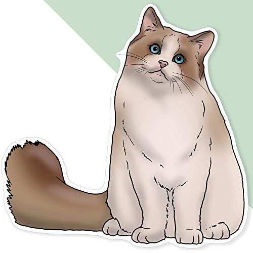 Azeeda Extra große 460 mm 'Ragdoll-Katze' Permanente Aufkleber (DW00068108) von Azeeda