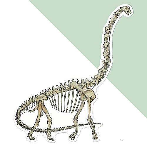 Azeeda Große 210mm 'Brachiosaurus-Skelett' Permanente Aufkleber (DW00087534) von Azeeda