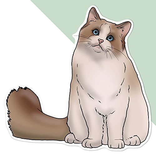 Azeeda Große 210mm 'Ragdoll-Katze' Permanente Aufkleber (DW00068107) von Azeeda