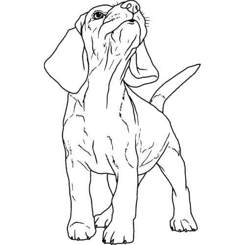 Azeeda 'Heulender Beagle-Welpe' Unmontierter Gummistempel - für Basteln, Scrapbooking und Kartengestaltung - Größe A8 (RS00048162) von Azeeda