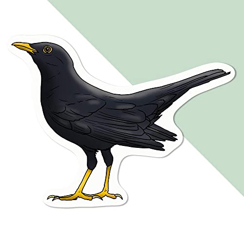 Azeeda Mittel 100mm 'Amsel' Permanente Aufkleber (DW00069046) von Azeeda