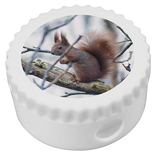 Azeeda 'Rotes Eichhörnchen' Kompakt Spitzer (PS00004541) von Azeeda