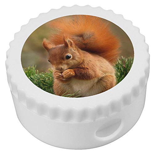 Azeeda 'Rotes Eichhörnchen' Kompakt Spitzer (PS00005185) von Azeeda