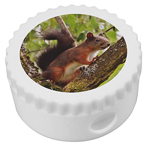 Azeeda 'Rotes Eichhörnchen' Kompakt Spitzer (PS00007195) von Azeeda