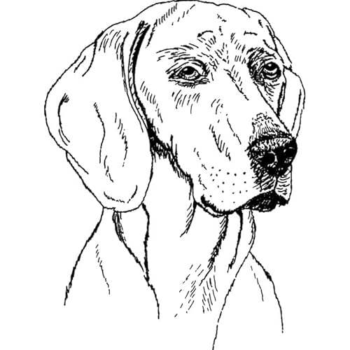 Azeeda 'Weimaraner' Unmontierter Gummistempel - für Basteln, Scrapbooking und Kartengestaltung - Größe A8 (RS00045779) von Azeeda