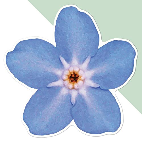 Große 210mm 'Vergissmeinnicht Blume' Permanente Aufkleber (DW00030163) von Azeeda