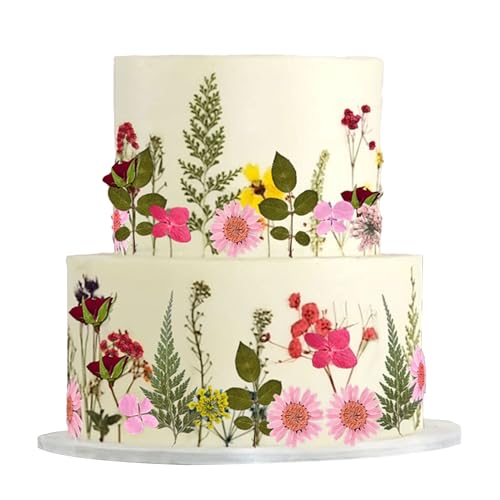 Tortenaufsatz mit Wildblumen-Motiv, Baby in Blüte, Babyparty, Kuchendekoration, Wildblumen-Dekoration für Frauen, Geburtstag, Brautparty, Hochzeit, Party-Dekoration Tortenaufsatz mit Wildblumen-Motiv, Baby in Blüte, Babyparty, Kuchendekoration, Wildblumen-Dekoration für Frauen, Geburtstag, Brautparty, Hochzeit, Party-Dekoration von BACH AND BOOZY