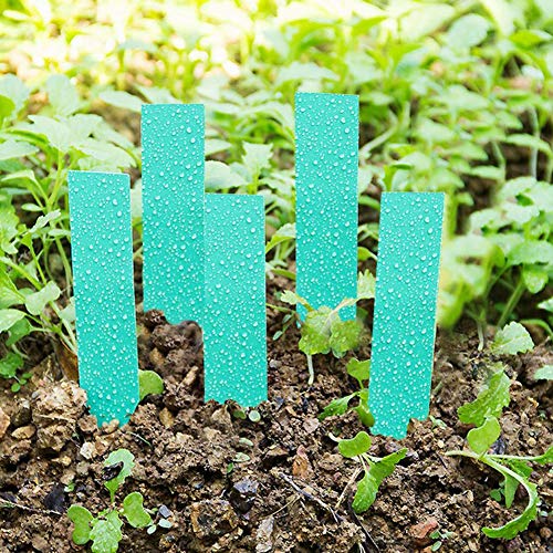 BAFOVY Pflanzensamenbezeichnungen Gartenmarkierungen Sämlinge Tags 100 PCs Multicolor PVC Wasserdicht Wiederverwendbar für die Pflanzenidentifikation mit Sonnenschutzschutz (GREEN) von BAFOVY