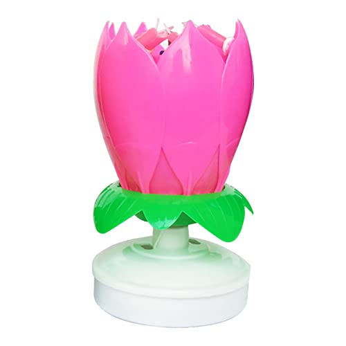 BAHJKASD Für kreative Geburtstagsfeier Kuchen Musik Blume Blüte Rotierende Musik Kuchen Dekoration Geburtstag Musik Kerzen für Kuchen BAHJKASD Für kreative Geburtstagsfeier Kuchen Musik Blume Blüte Rotierende Musik Kuchen Dekoration Geburtstag Musik Kerzen für Kuchen von BAHJKASD