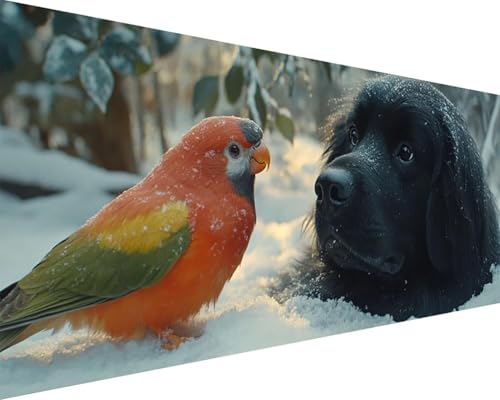 Malen Nach Zahlen Erwachsene Vogel Malen Nach Zahlen Hund Paint by Numbers Farbige Leinwand mit Pinselset Acrylfarben Kreativ Set für Erwachsene, Home Wand Deko Wohnzimmer Geschenke 50x100cm o4-18L Malen Nach Zahlen Erwachsene Vogel Malen Nach Zahlen Hund Paint by Numbers Farbige Leinwand mit Pinselset Acrylfarben Kreativ Set für Erwachsene, Home Wand Deko Wohnzimmer Geschenke 50x100cm o4-18L von BAIYAACO