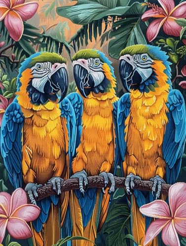 Malen Nach Zahlen Erwachsene mit Rahmen Blume Malen Nach Zahlen Vogel Paint by Numbers Farbige Leinwand mit 3 - Pinselset Acrylfarben Kreativ Set für Erwachsene, Zimmer Deko Geschenke 40x50cm -v16N von BAIYAACO