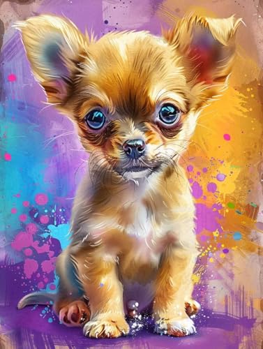 Malen Nach Zahlen Erwachsene mit Rahmen Tier Malen Nach Zahlen Hund Paint by Numbers Farbige Leinwand mit 3 - Pinselset Acrylfarben Kreativ Set für Erwachsene, Zimmer Deko Geschenke 60x80cm -g142 Malen Nach Zahlen Erwachsene mit Rahmen Tier Malen Nach Zahlen Hund Paint by Numbers Farbige Leinwand mit 3 - Pinselset Acrylfarben Kreativ Set für Erwachsene, Zimmer Deko Geschenke 60x80cm -g142 von BAIYAACO